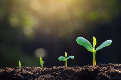 Best Growth ETFS | Bank Rates