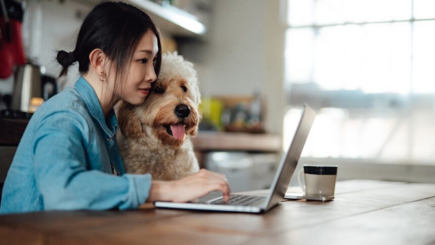 What is a direct deposit? |Bankrate